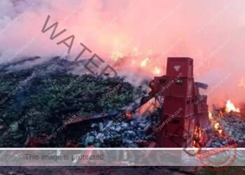 Centrafrique : une société étrangère qui emploie plus de 300 centrafricains, victime d&rsquo;une campagne de dénigrement