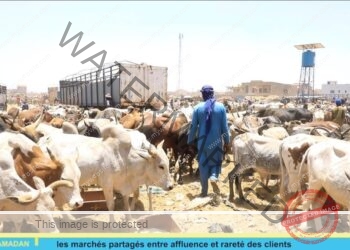 Fête de Ramadan : les marchés partagés entre affluence et rareté des clients