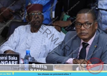 Referendum au Mali : les choses se précisent-elles ?