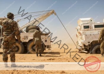 Intervention du Mali au Niger : des réactions et l’analyse sur la question