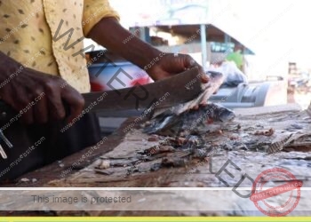 L’Énergie du Mali : un délestage excessif pour une population entièrement dépendante du courant
