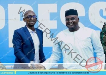 Mali : Les Médias confrontent le Procureur sur la Cybercriminalité