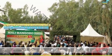 Le Festival de la mangue affiche une ambition claire : faire de ce fruit un véritable levier économique et structurant pour le Mali.