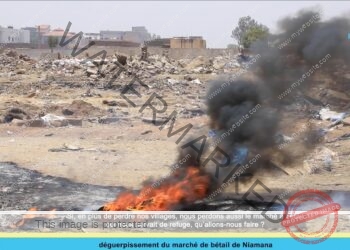 Niamana sans son garbal : chronique d’un effacement