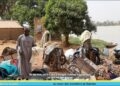 Lavandiers, survivre au jour le jour