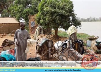 Lavandiers, survivre au jour le jour
