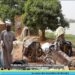 Lavandiers, survivre au jour le jour
